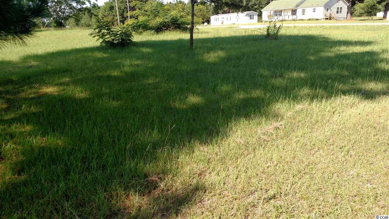 Lot 3 Lake Pond Road Loris, SC 29569 - Photo 2 of 8 Gallery Image 2