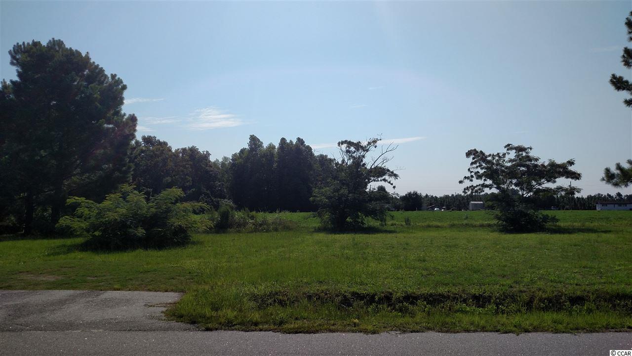 Lot 3 Lake Pond Road Loris, SC 29569 - Photo 4 of 8 Gallery Image 4