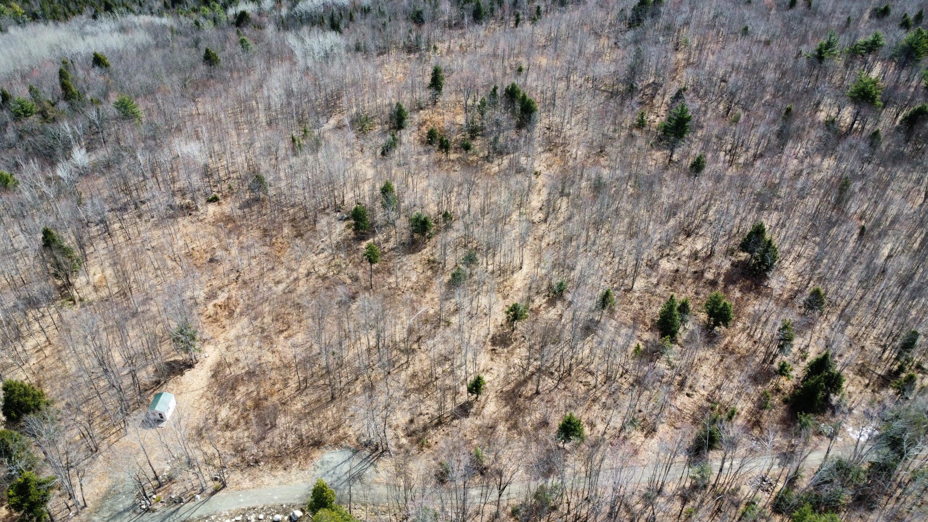 M1-l9-1 M1-l9-1 Off Ames Road Cornville, ME 04976 - Photo 2 of 13 image0 (7)