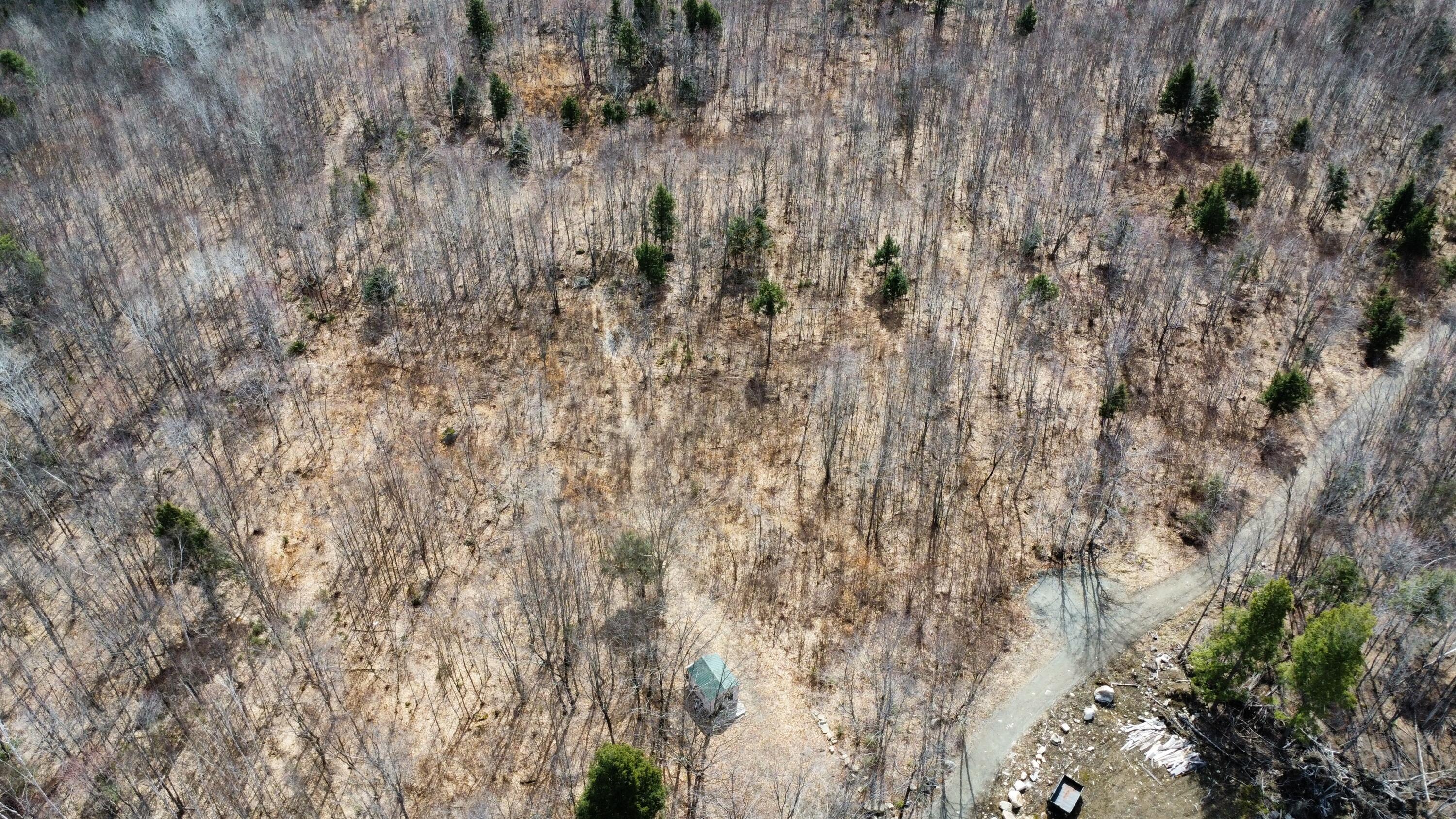 M1-l9-1 M1-l9-1 Off Ames Road Cornville, ME 04976 - Photo 5 of 13 image0 (8)