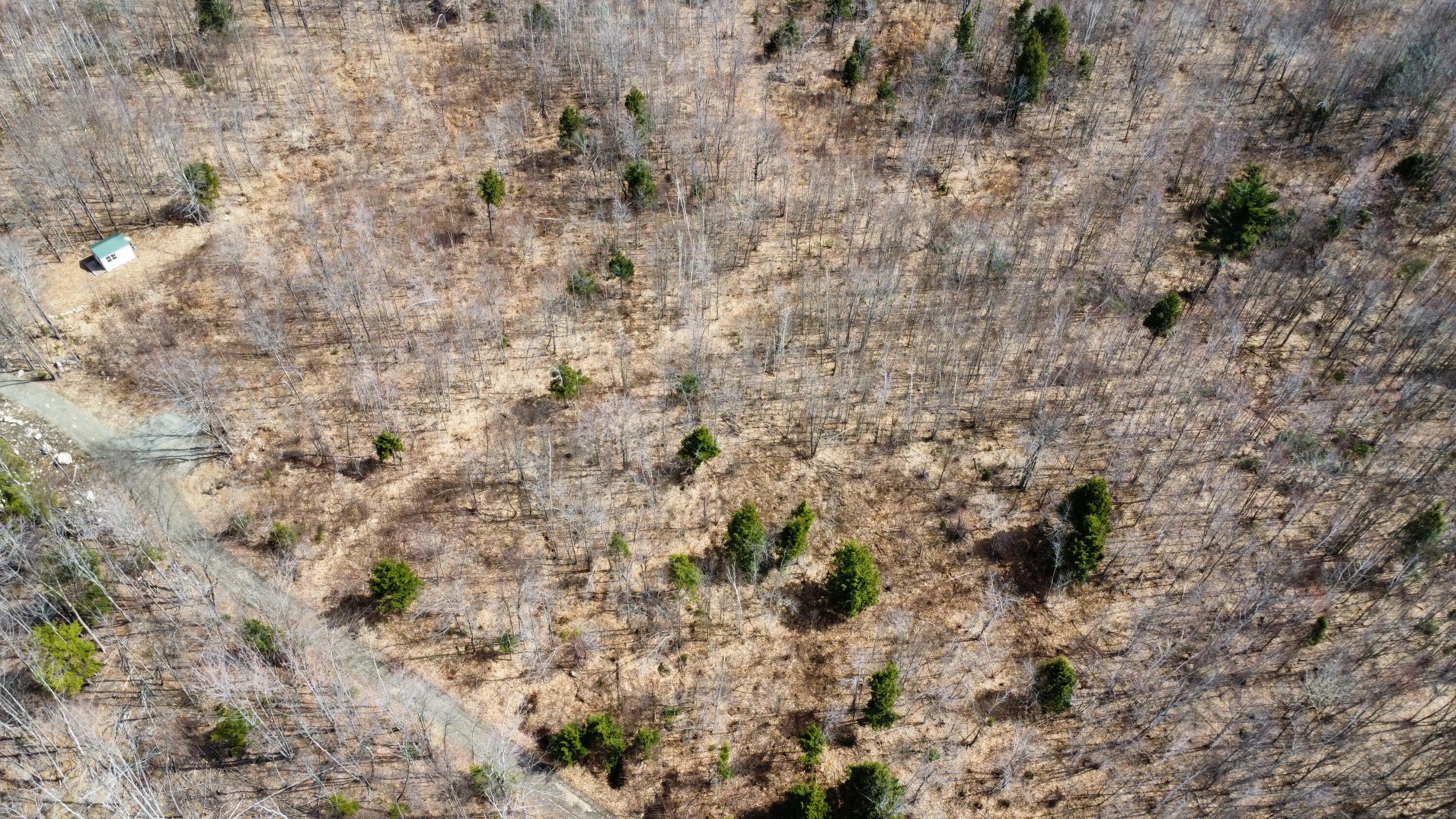 M1-l9-1 M1-l9-1 Off Ames Road Cornville, ME 04976 - Photo 6 of 13 image1 (5)