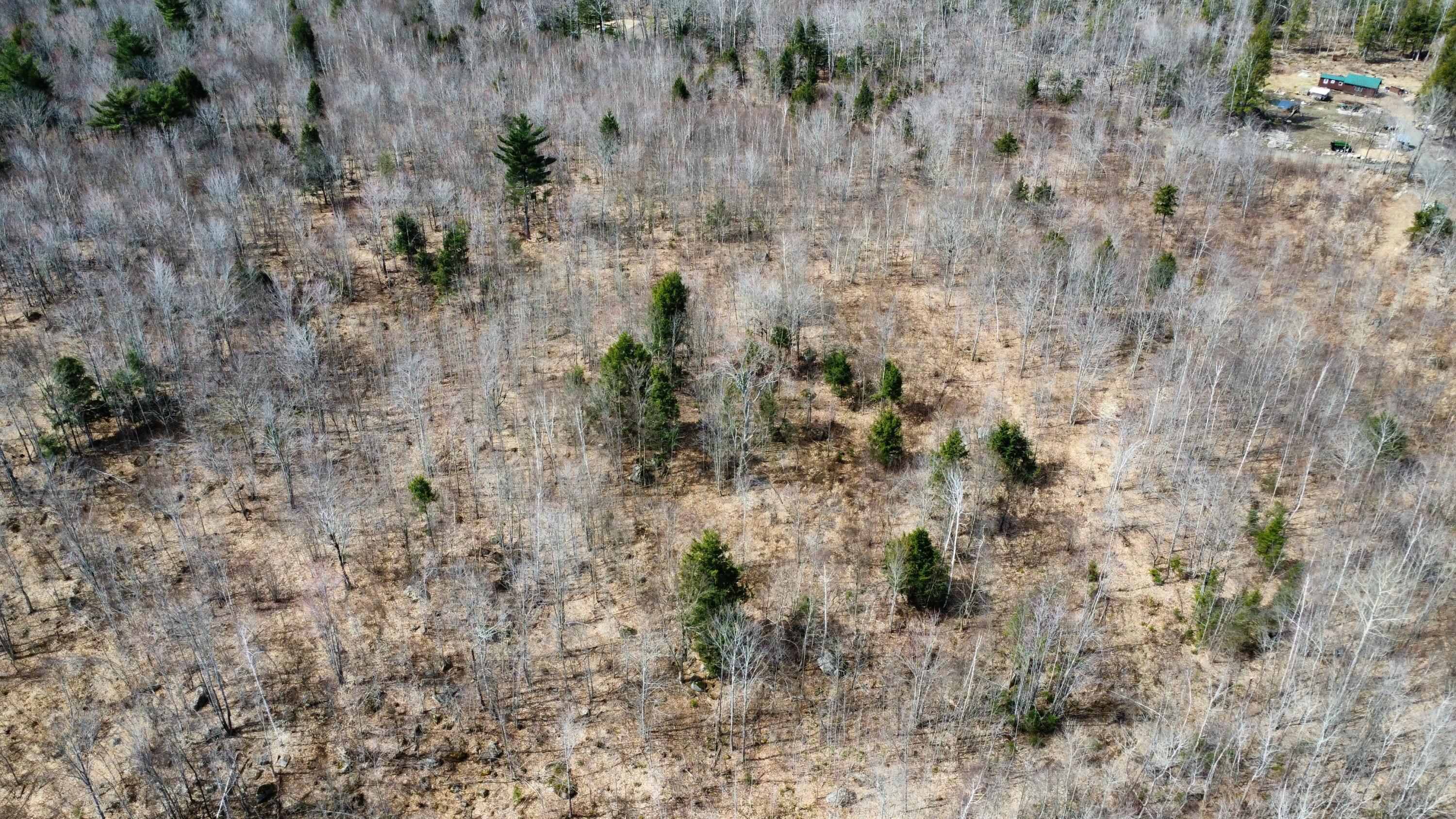 M1-l9-1 M1-l9-1 Off Ames Road Cornville, ME 04976 - Photo 8 of 13 image2 (1)