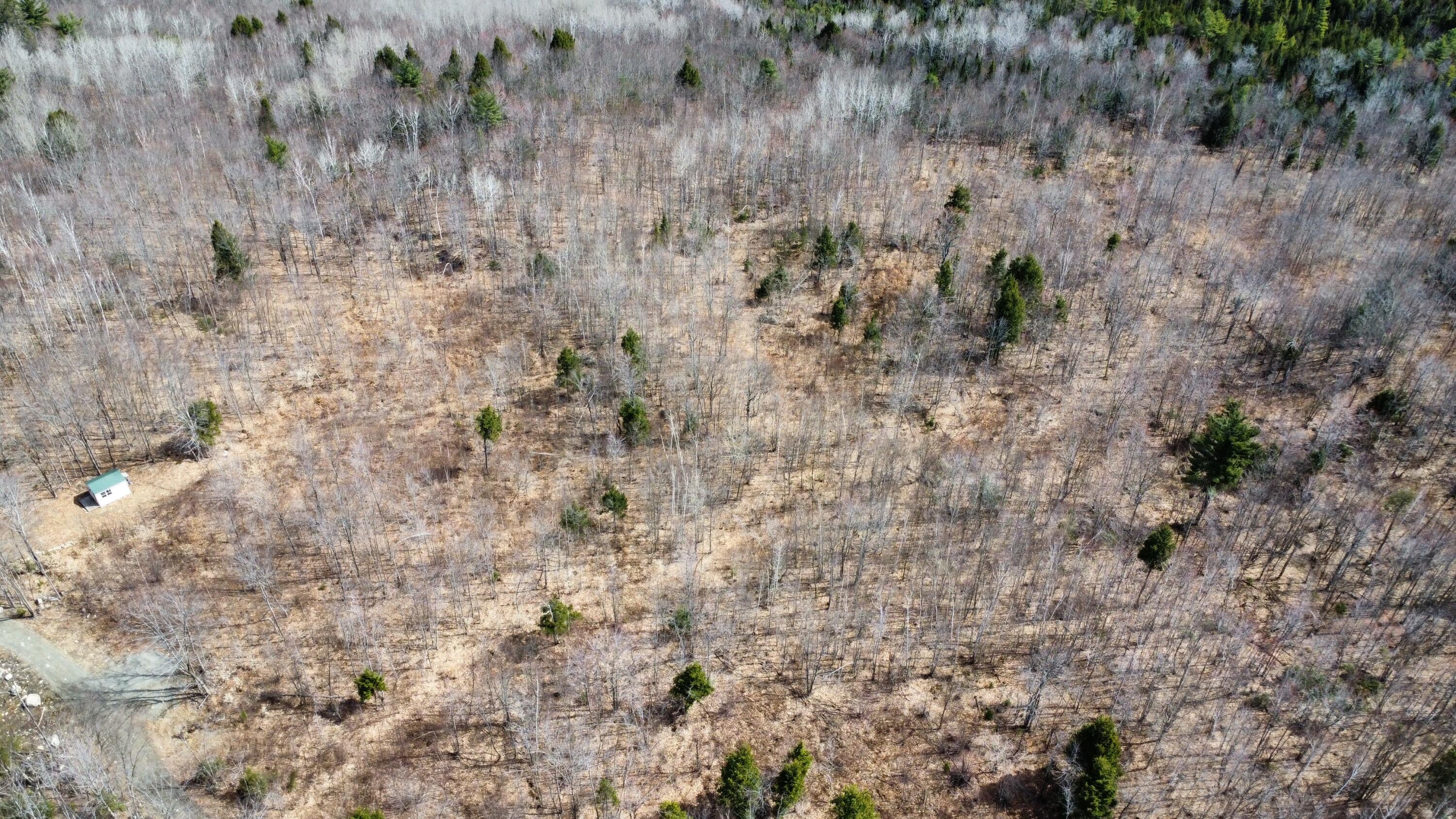 M1-l9-1 M1-l9-1 Off Ames Road Cornville, ME 04976 - Photo 9 of 13 image2 (2)