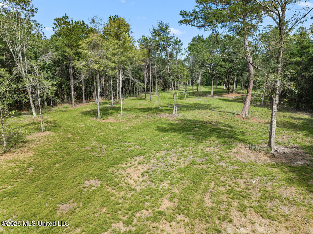 Salem Road Picayune, MS 39466 - Photo 2 of 16 sr4
