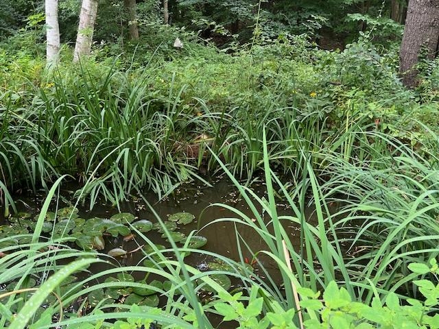 662 Burgess Road Bennington, VT 05201 - Photo 29 of 39