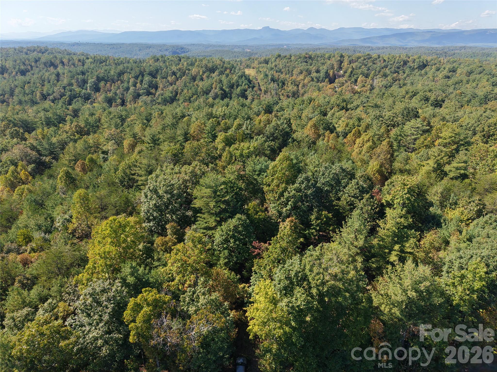 3523 Pax Hill Road Morganton, NC 28655 - Photo 12 of 14 Gallery Image 12