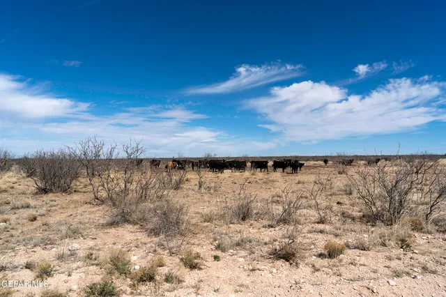 $13,250 | 73571 Pn Ranch, Unit 526, Sierra Blanca, TX 79851