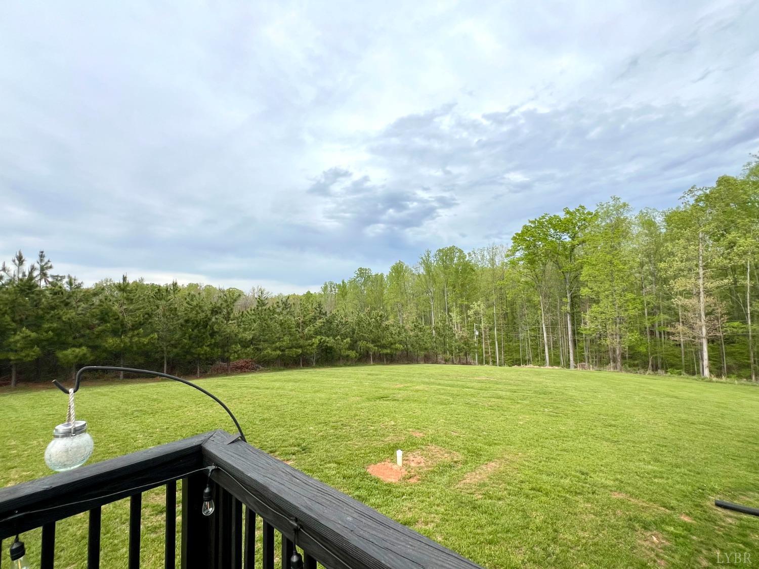 605 Beeks Lane Spout Spring, VA 24593 - Photo 44 of 54