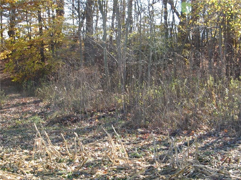 0 North Wakeland Road Paragon, IN 46166 - Photo 14 of 16