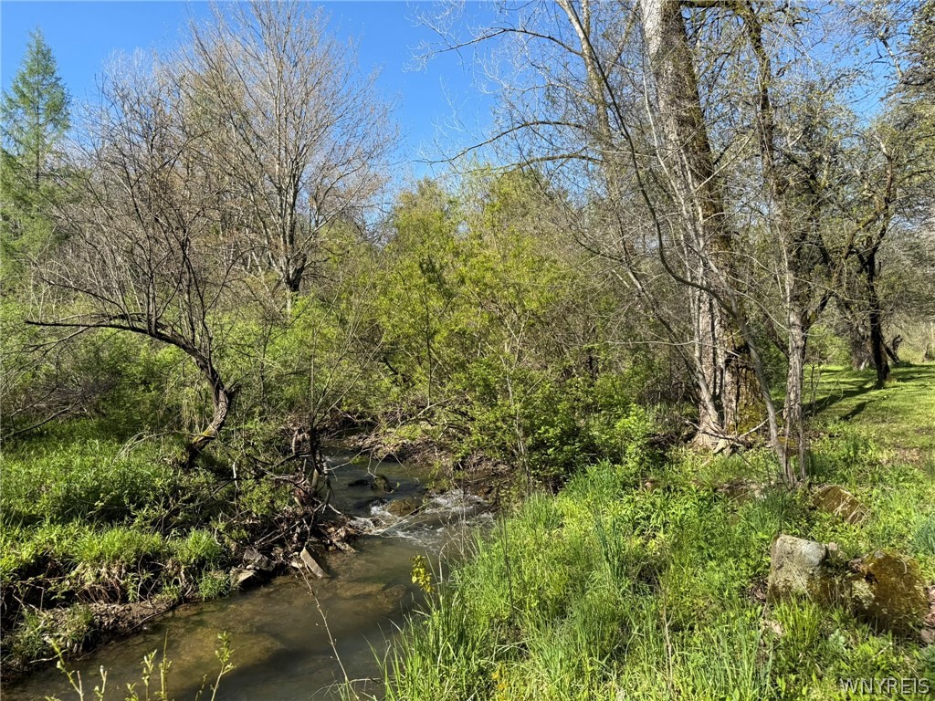 3137 Bear Creek Road Machias, NY 14737 - Photo 28 of 50