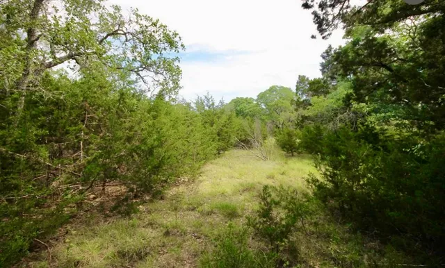 a view of a yard with large trees