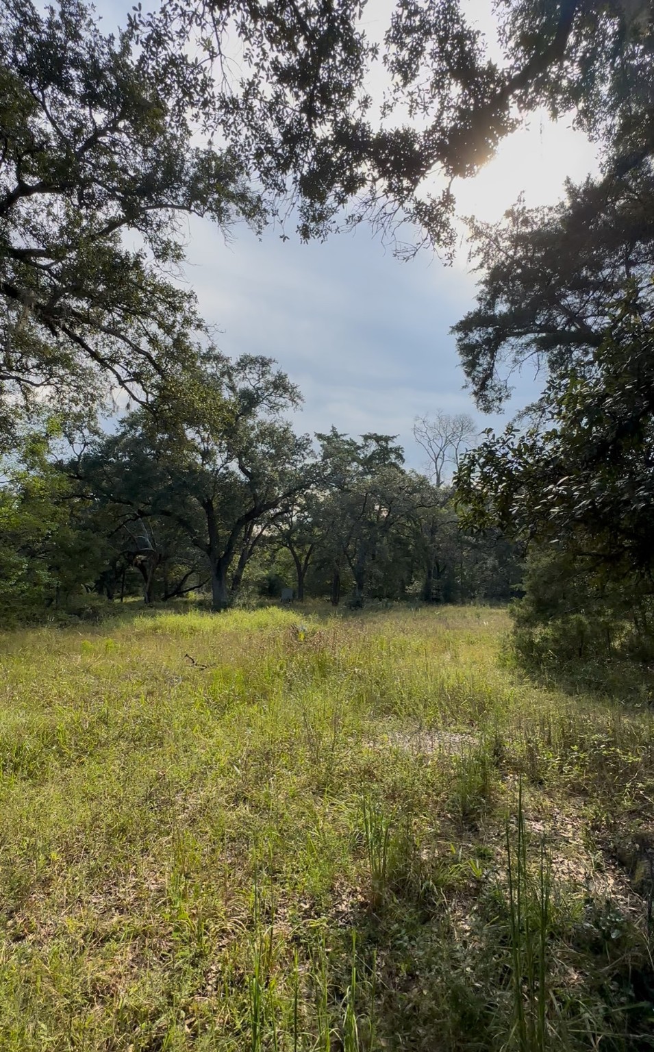 0 Fm-1459 Sweeny, TX 77480 - Photo 12 of 32 a view of lake view and mountain
