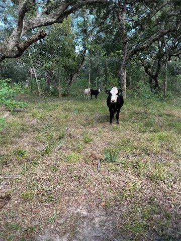 a view of a yard from a balcony