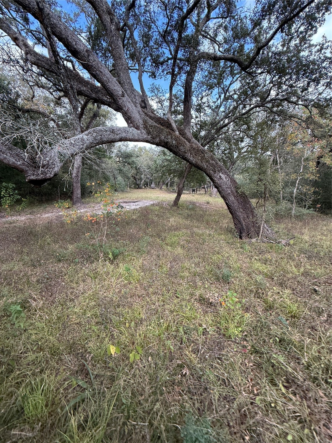 0 Fm-1459 Sweeny, TX 77480 - Photo 16 of 32 a view of outdoor space and yard