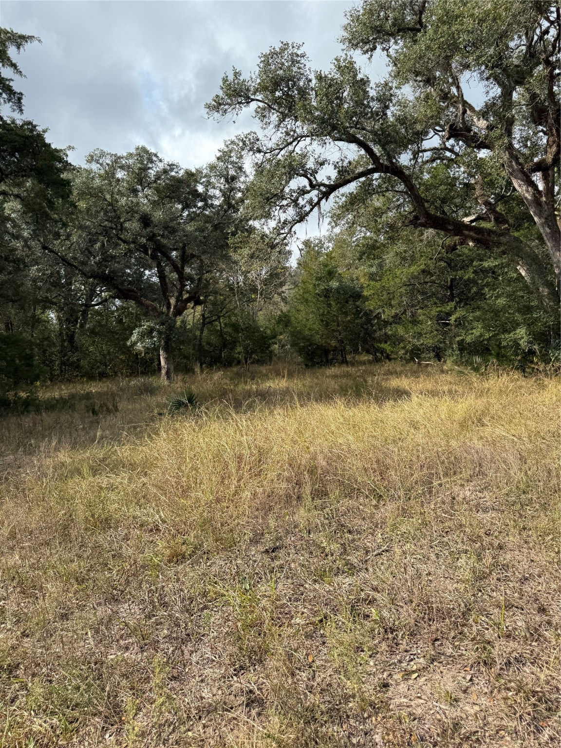 0 Fm-1459 Sweeny, TX 77480 - Photo 22 of 32 a view of a lake view