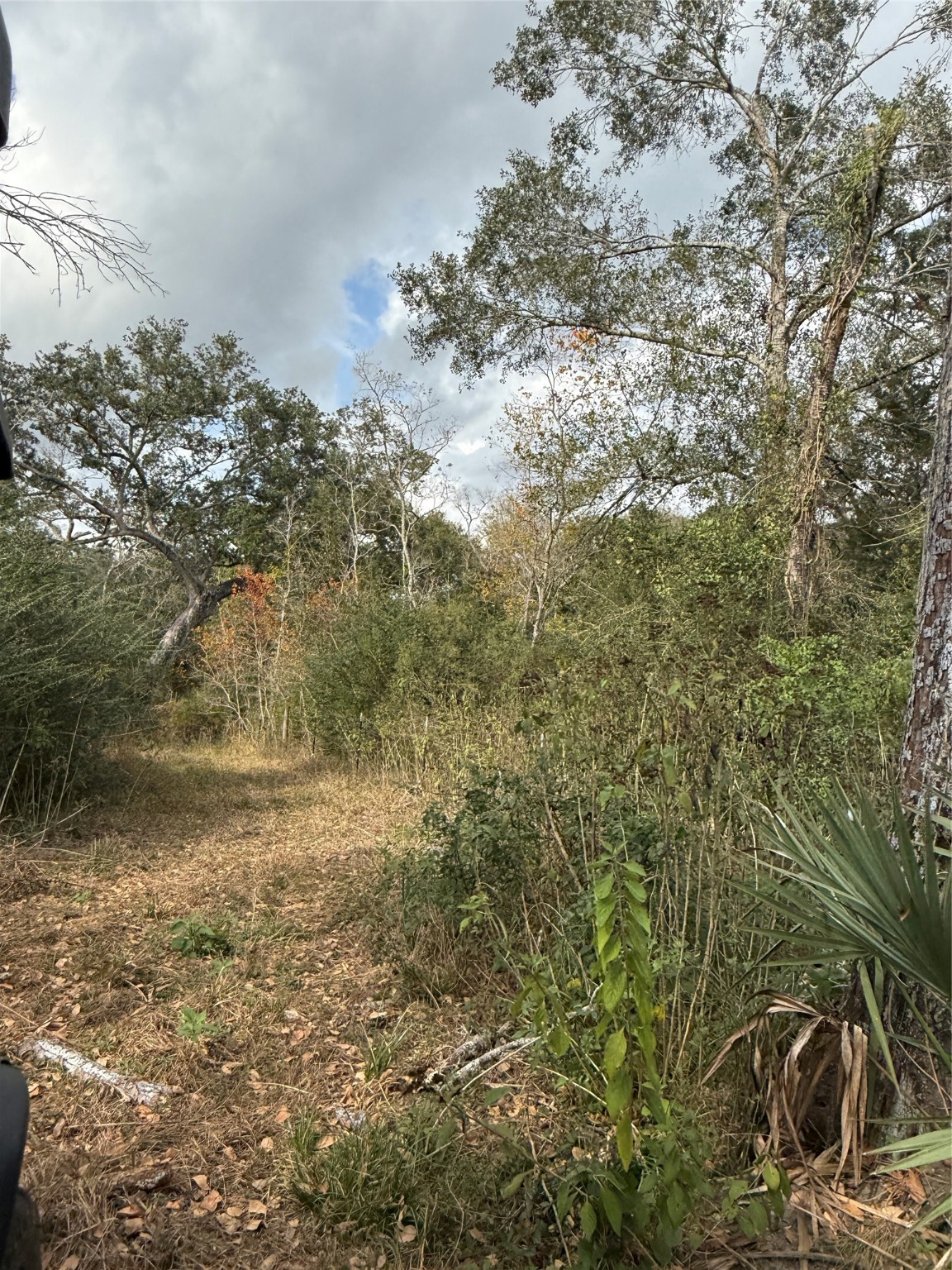0 Fm-1459 Sweeny, TX 77480 - Photo 24 of 32 a view of a yard