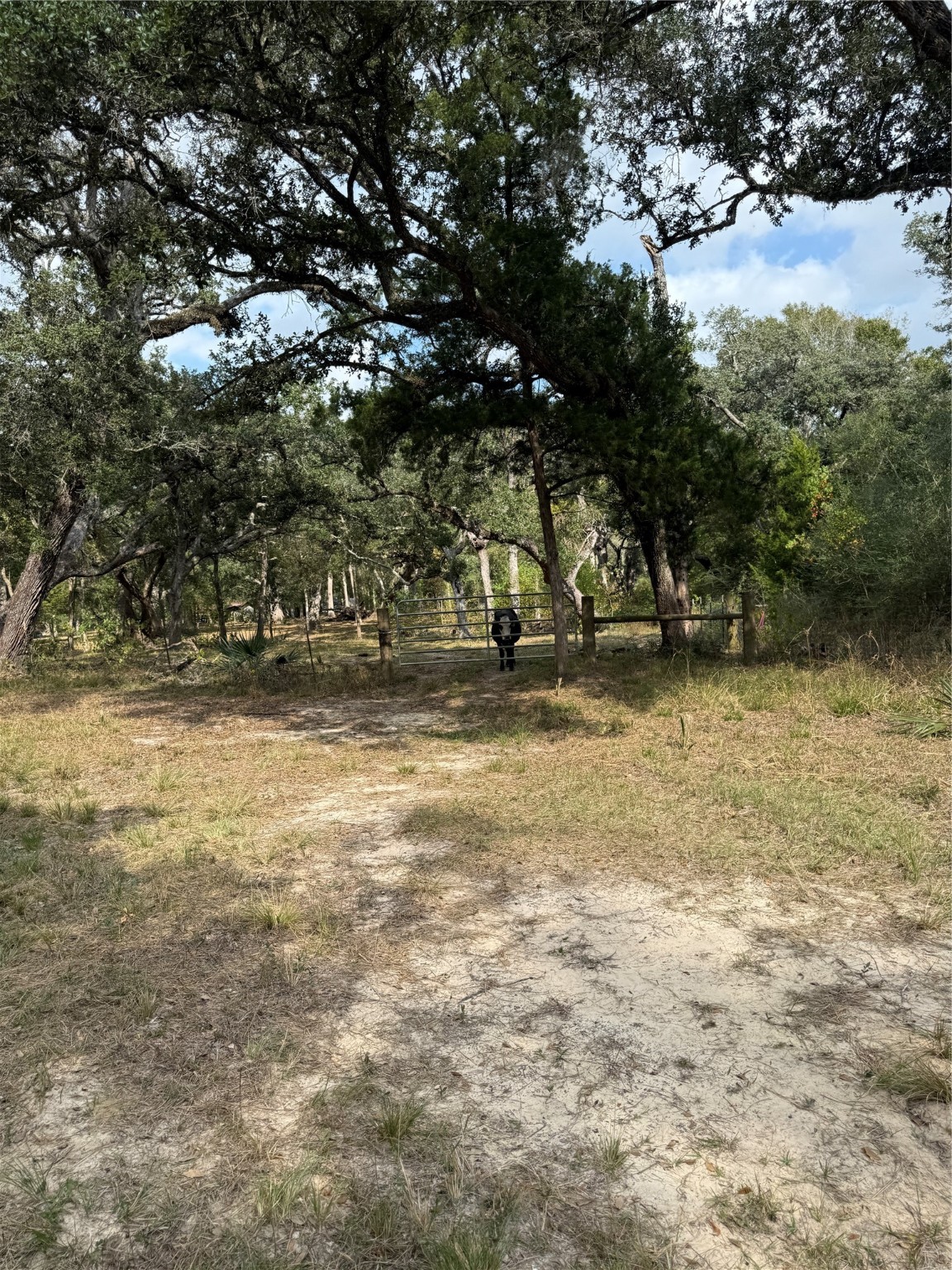 0 Fm-1459 Sweeny, TX 77480 - Photo 26 of 32 a backyard of a house with lots of green space