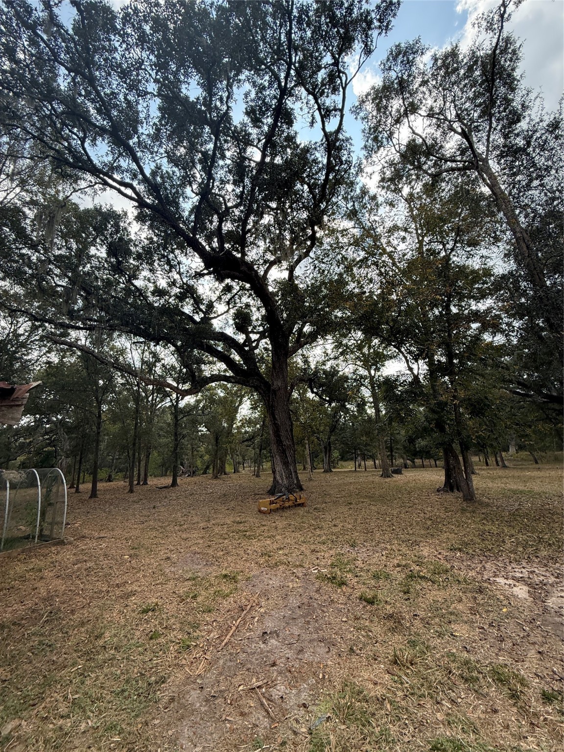 0 Fm-1459 Sweeny, TX 77480 - Photo 28 of 32 a view of backyard with large trees