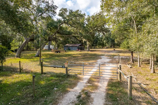 a view of a forest with houses