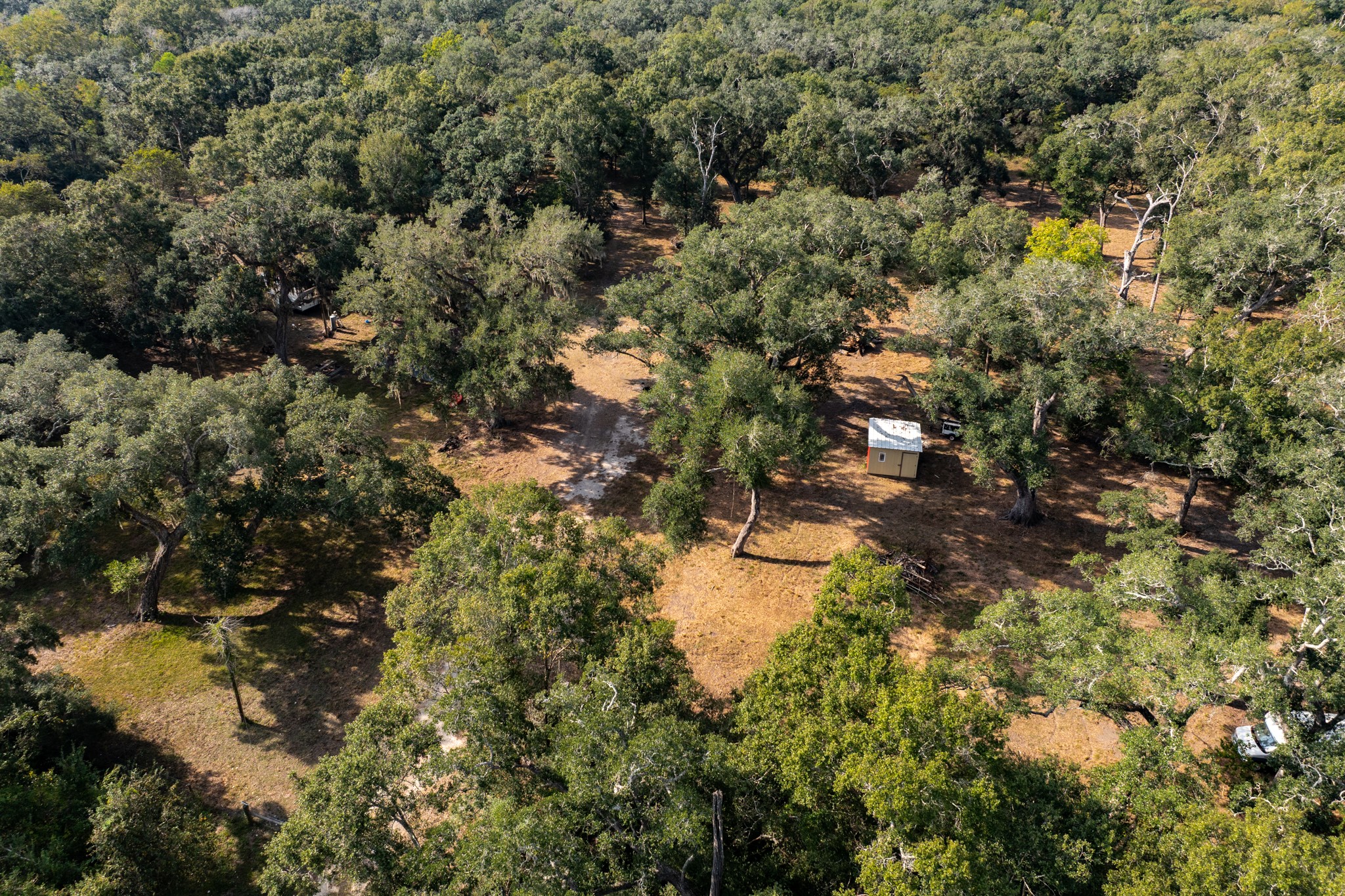 0 Fm-1459 Sweeny, TX 77480 - Photo 5 of 32 a view of a forest with houses