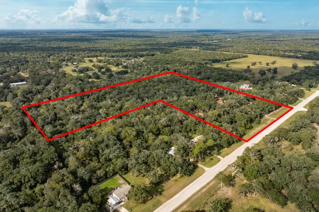 a view of outdoor space with trees all around