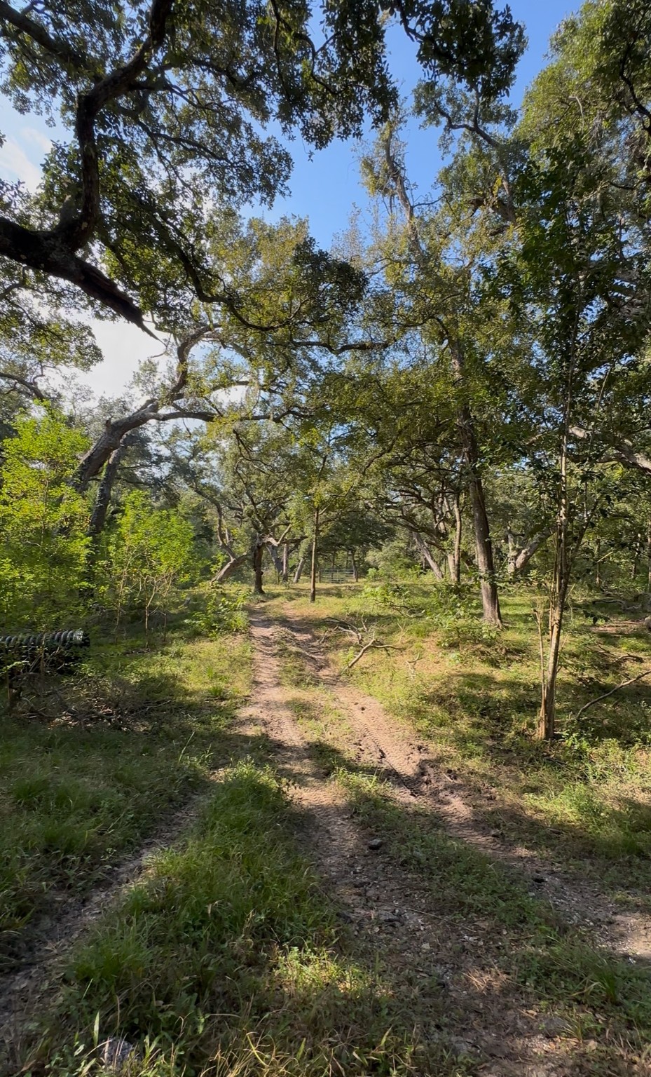 0 Fm-1459 Sweeny, TX 77480 - Photo 9 of 32