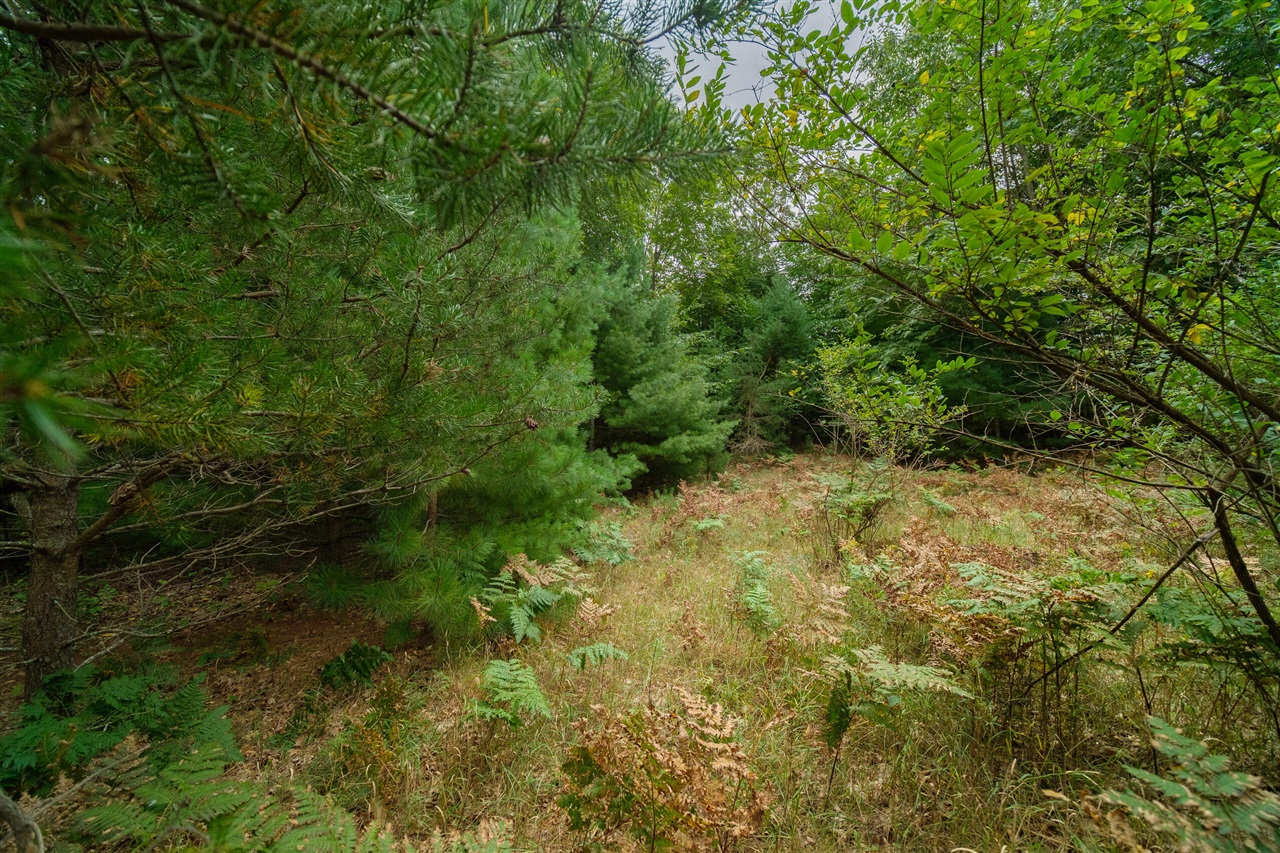 0 Erdman Road Onekama, MI 49675 - Photo 28 of 69 Gallery Image 28