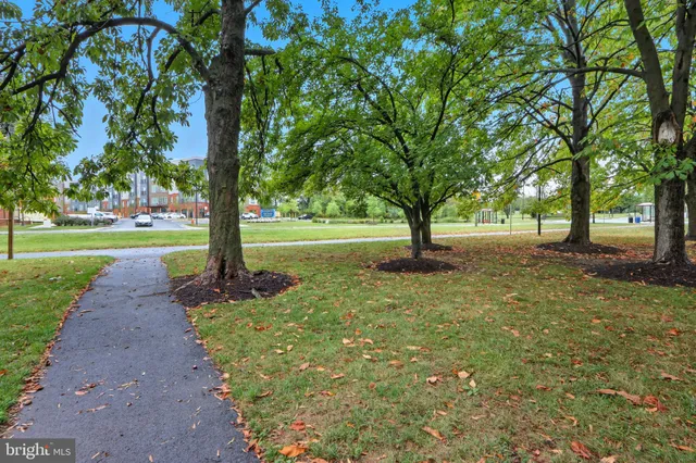 a view of a yard with tree s