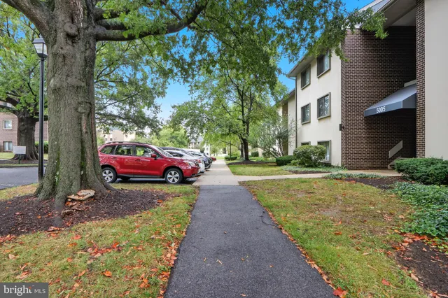 a view of a yard with cars parked in front of a house