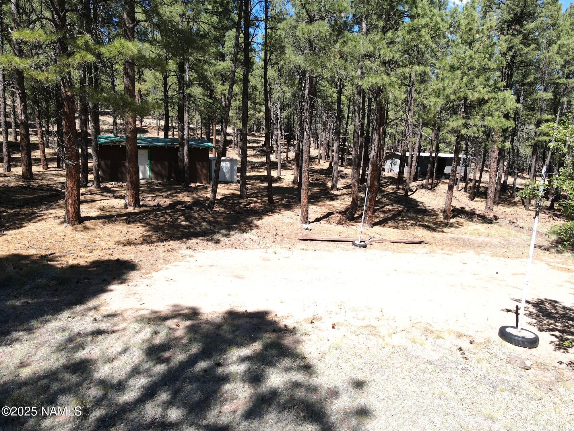 7145 East 4h Club Camp Road Williams, AZ 86046 - Photo 13 of 35 a view of a of the trees