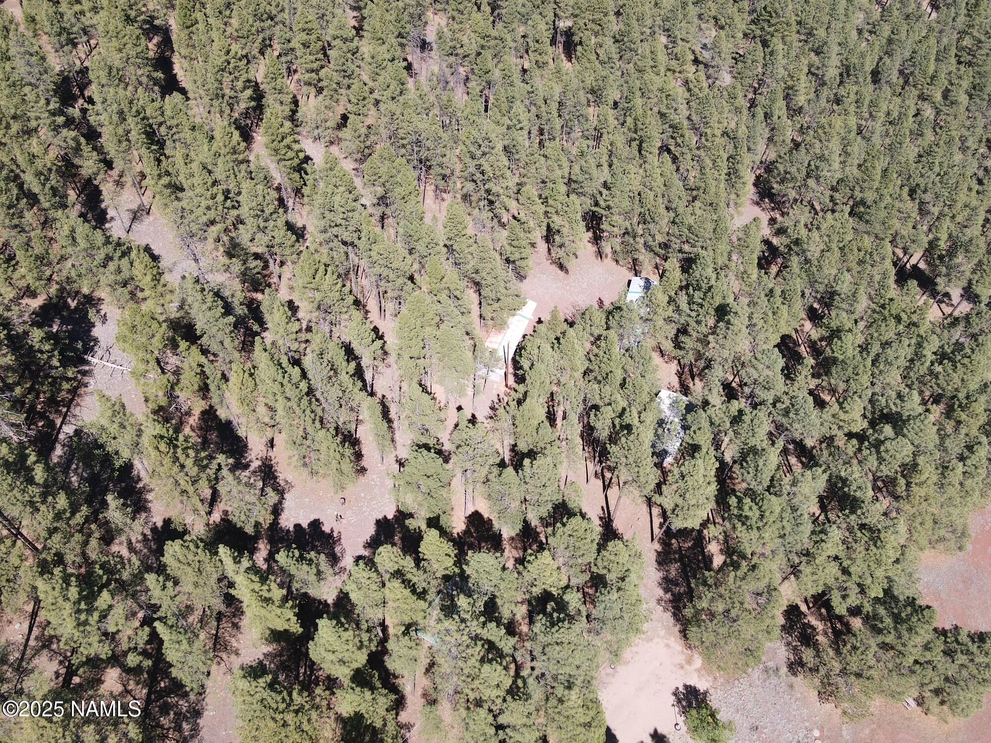 7145 East 4h Club Camp Road Williams, AZ 86046 - Photo 8 of 35 a view of a dry yard