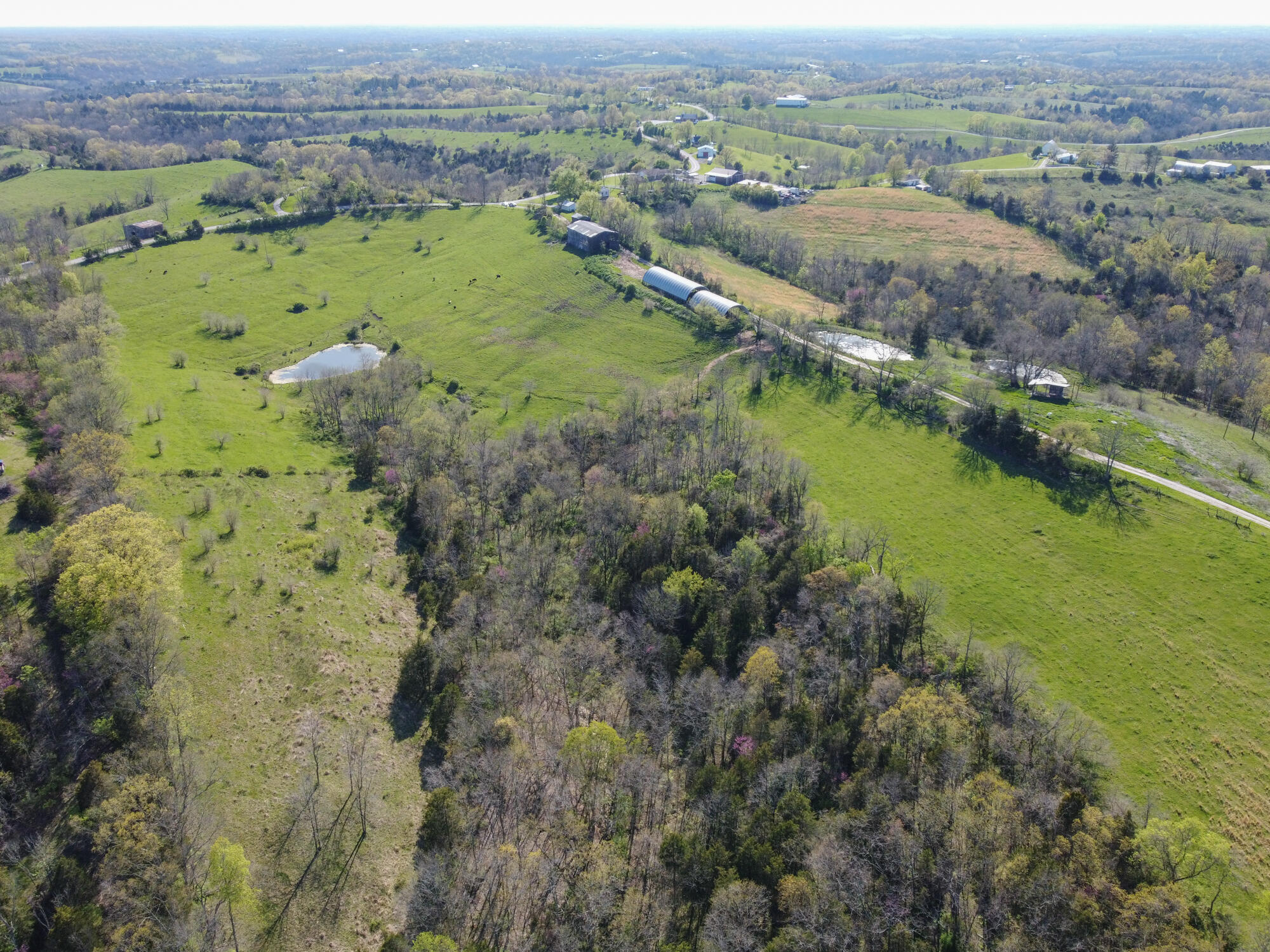 214-acres Keefer Road Corinth, KY 41010 - Photo 2 of 39 Keefer-42