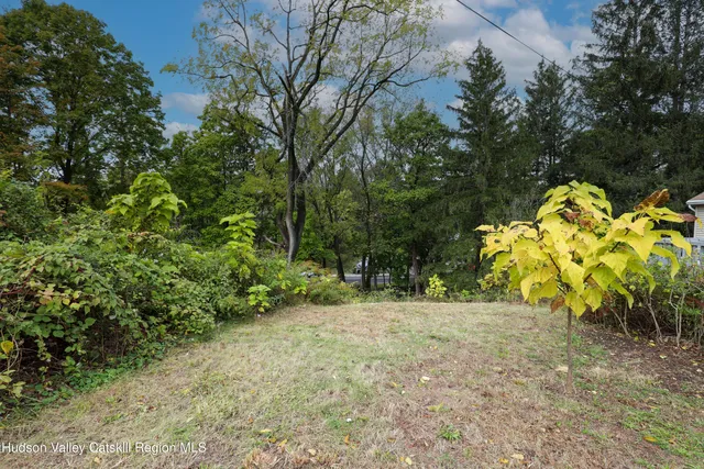 a view of outdoor space with trees