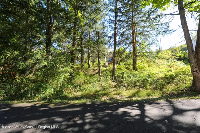 a view of outdoor space and a yard