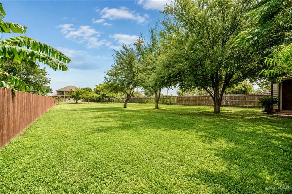 509 Earling Road Alamo, TX 78516 - Photo 14 of 18