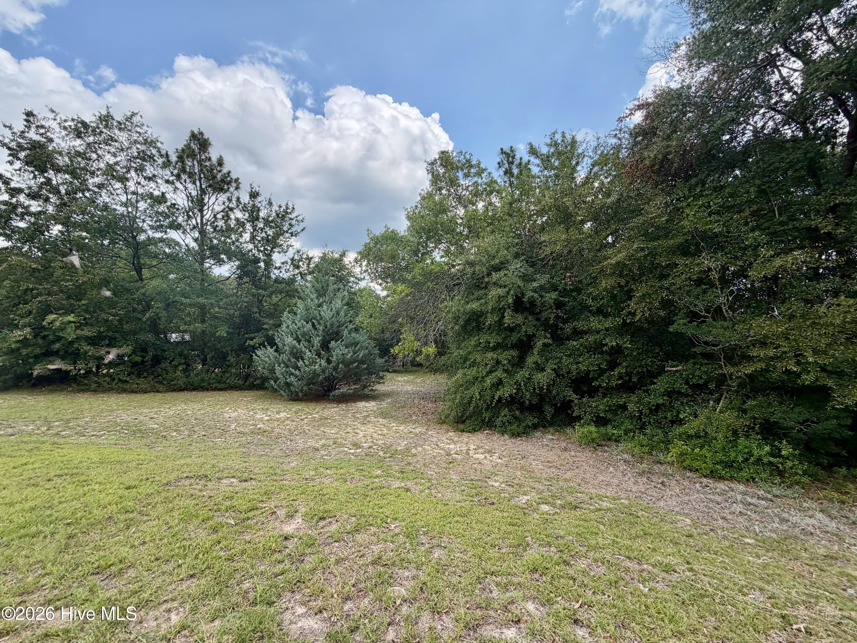 3026 Hummingbird Lane Augusta, GA 30906 - Photo 52 of 52 Gallery Image 52