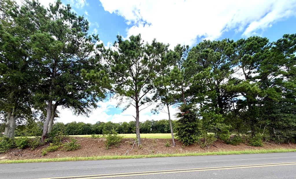 4 Iris Road Dothan, AL 36301 - Photo 2 of 6 Road View