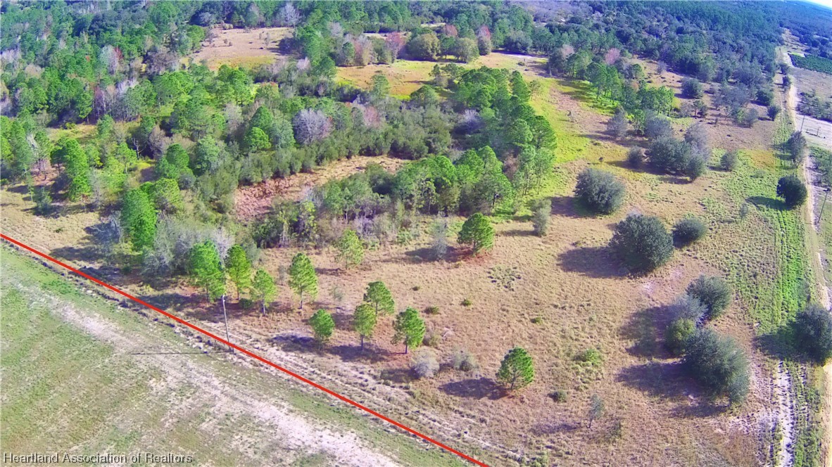623 Old Avon Road Frostproof, FL 33843 - Photo 28 of 40 a view of a yard with plants