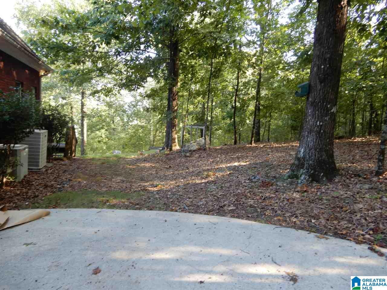 420 Grants Mill Ridge Leeds, AL 35094 - Photo 25 of 25