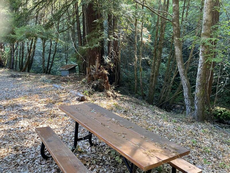 195 Rd A Whitethorn, CA 95589 - Photo 15 of 47 Mattole River frontage