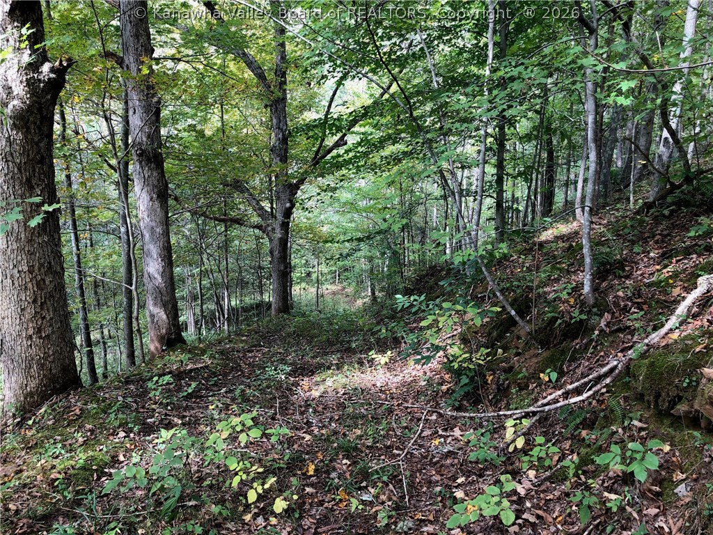 0 First Creek Road Ripley, WV 25271 - Photo 19 of 20 Gallery Image 19