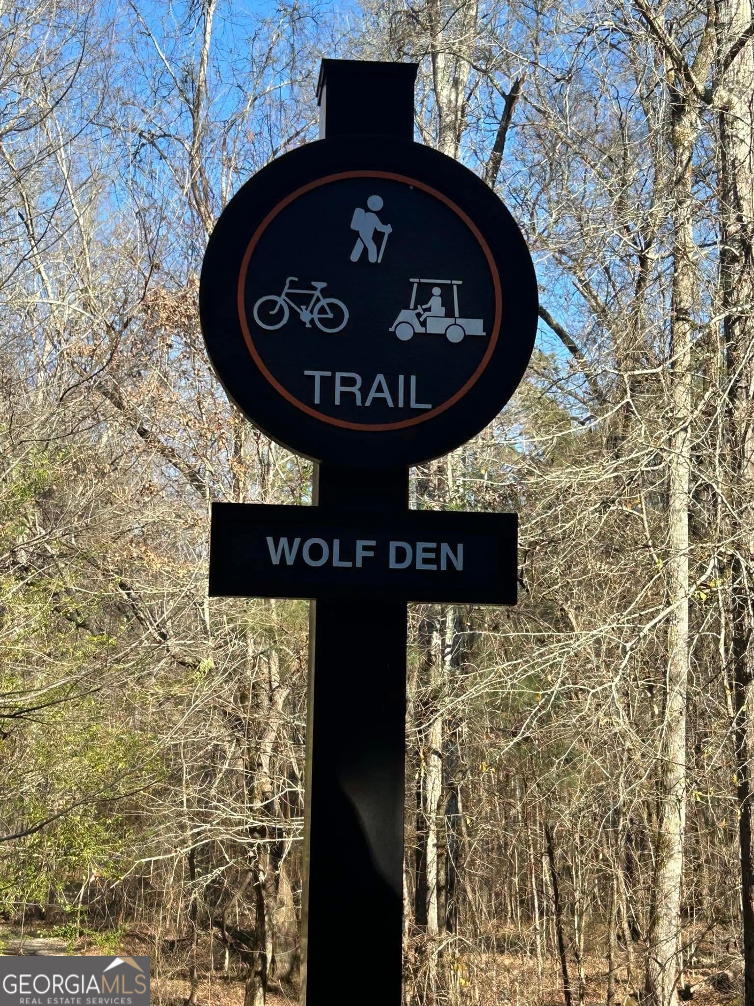 110 Firefly Run LaGrange, GA 30240 - Photo 3 of 6