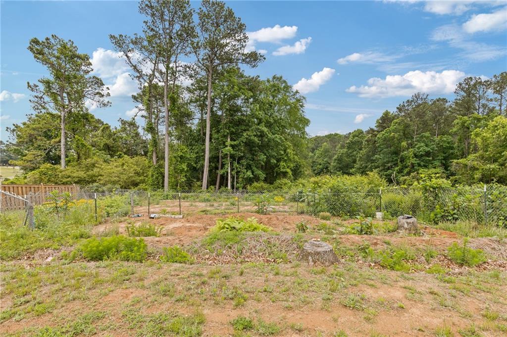 294 Ralph Still Road Dacula, GA 30019 - Photo 46 of 55 a big yard with lots of green space and plants