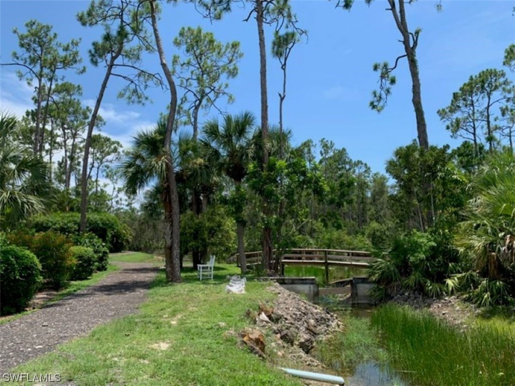 10844 Ani Circle Estero, FL 33928 - Photo 20 of 24 a backyard of a house with lots of green space