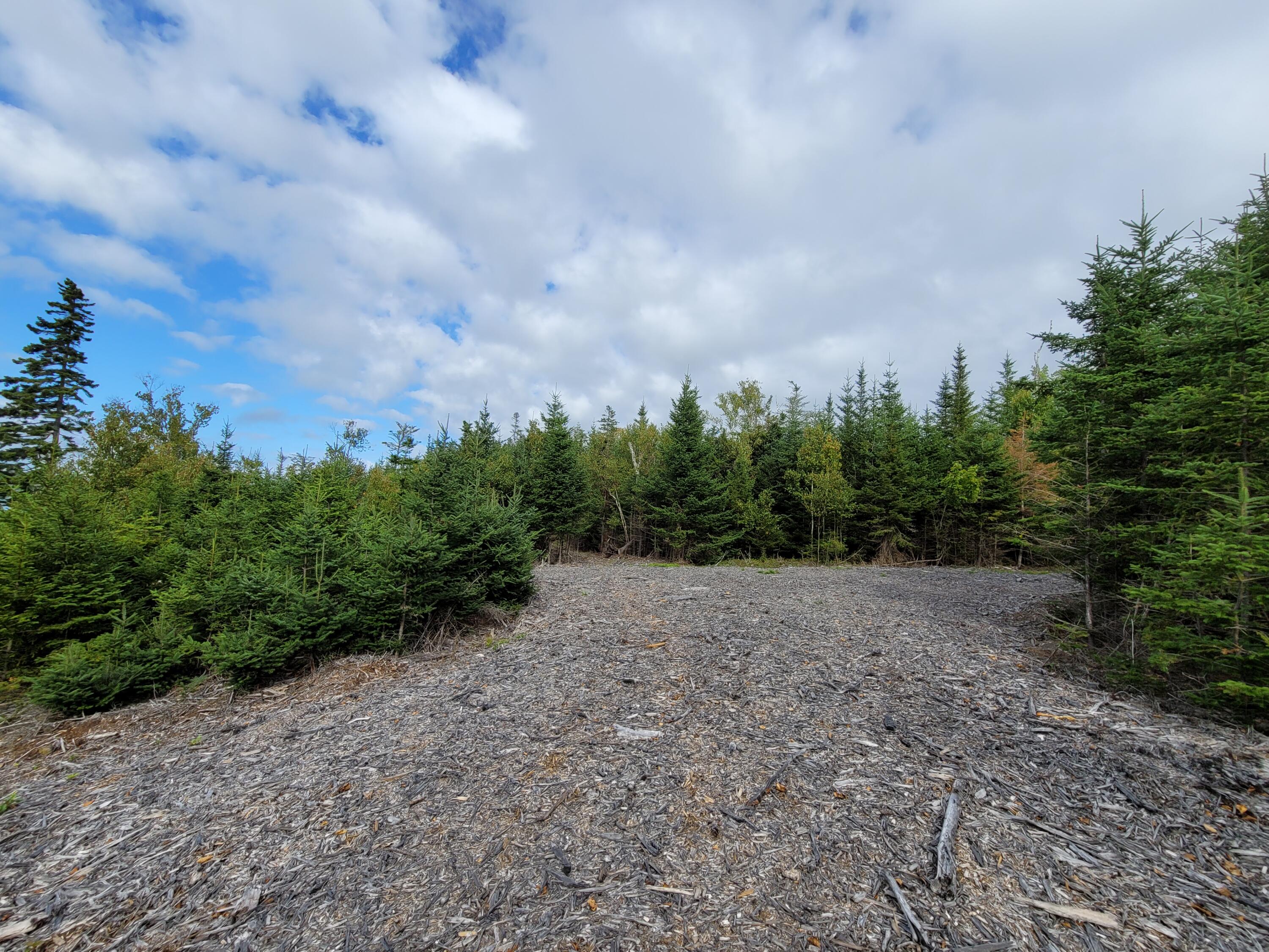 36 Peninsula Shores Road Corea, ME 04624 - Photo 11 of 13 Clearing & Path on Property