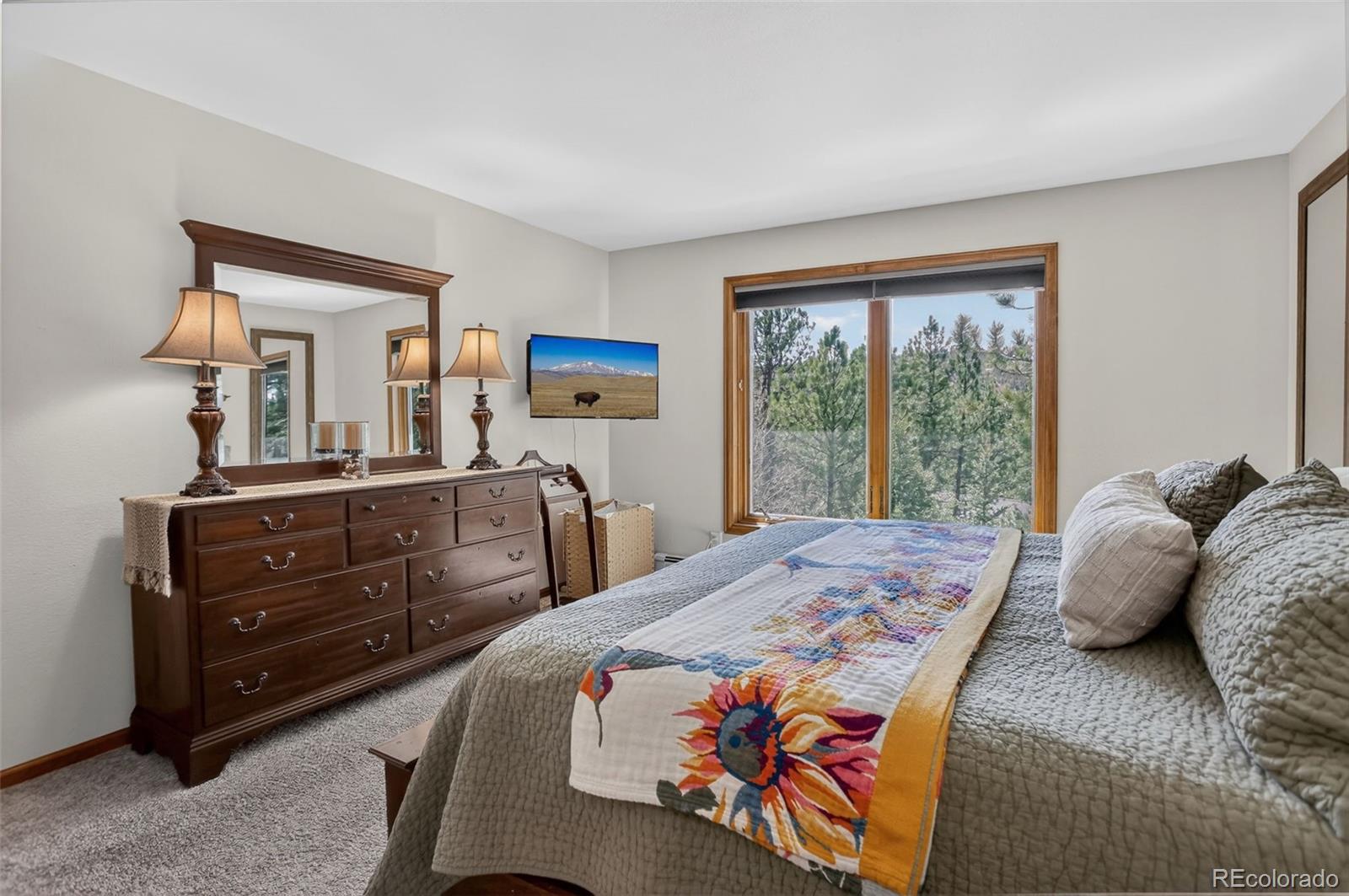 34144 Rock Creek Road Pine, CO 80470 - Photo 27 of 50