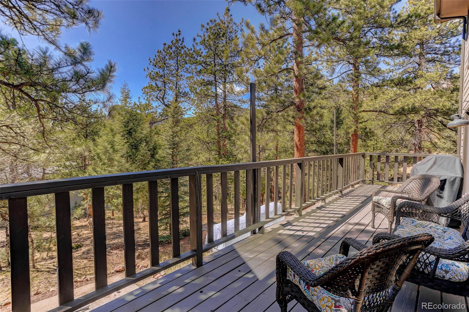 34144 Rock Creek Road Pine, CO 80470 - Photo 40 of 50