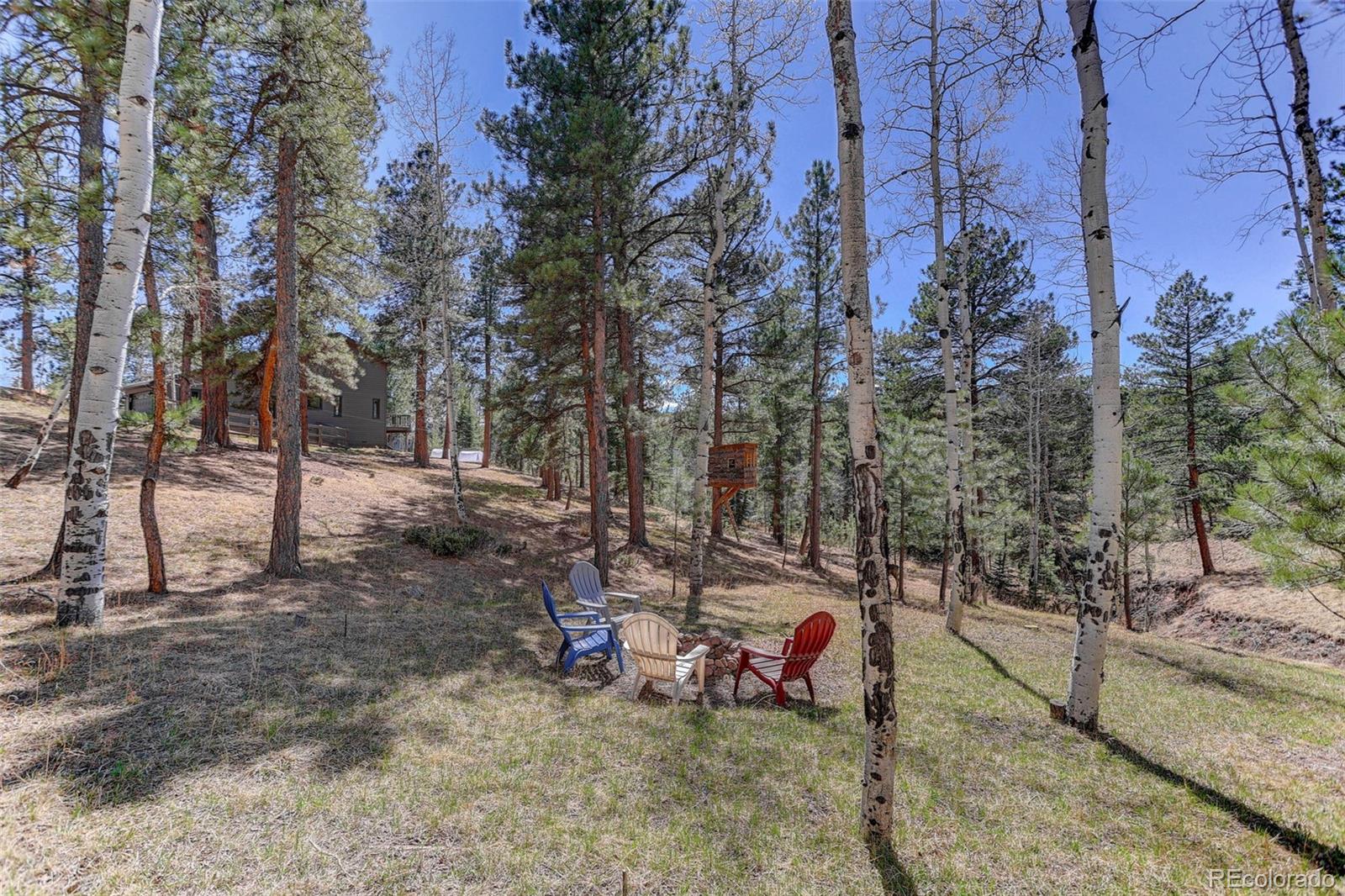34144 Rock Creek Road Pine, CO 80470 - Photo 45 of 50