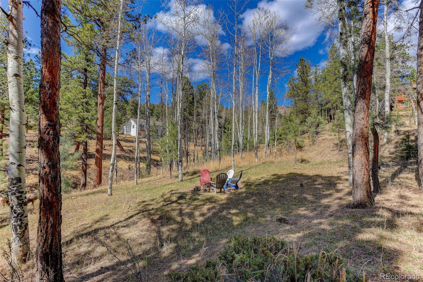 34144 Rock Creek Road Pine, CO 80470 - Photo 46 of 50