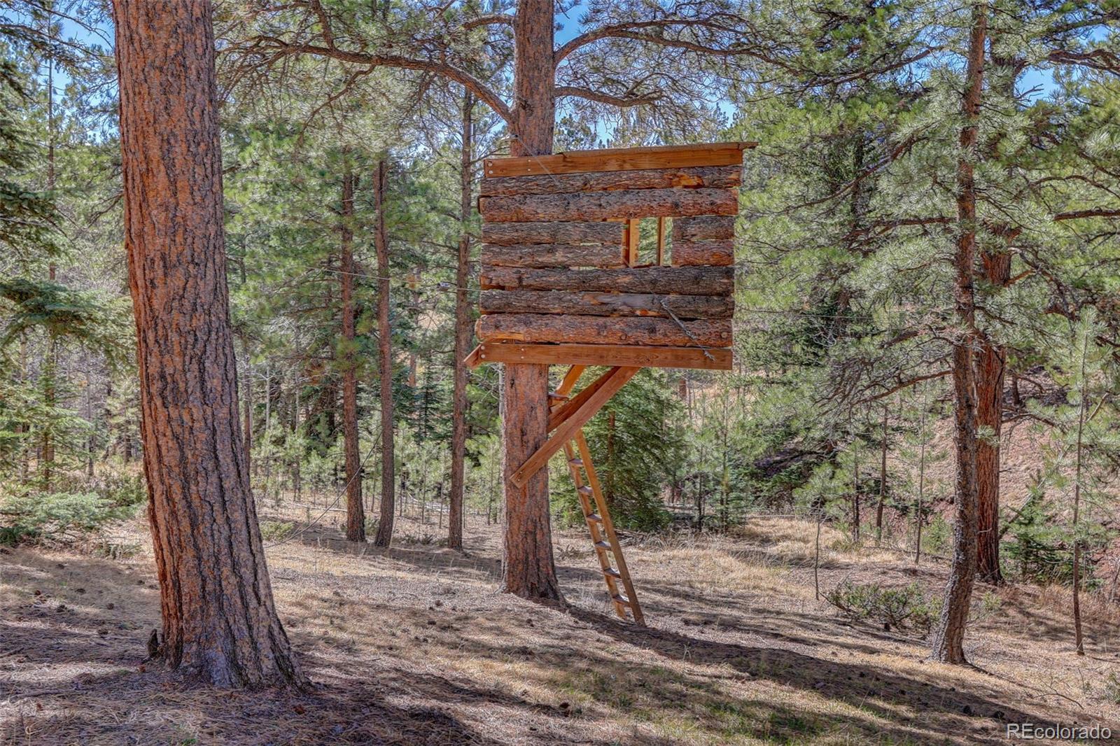 34144 Rock Creek Road Pine, CO 80470 - Photo 48 of 50
